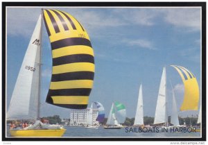 Sailboats in the Charleston Harbor, CHARLESTON, South Carolina, 50-70's