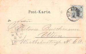 Duchstein von Seewirth Altaussee Austria Scenic View Antique Postcard J44919