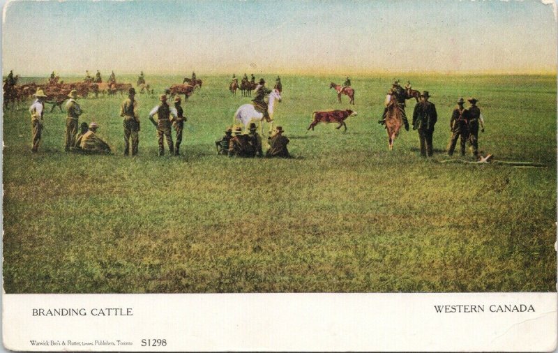 Branding Cattle Western Canada Ranchers Cowboys Unused Warwick Postcard G56