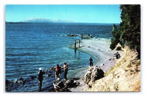 Fishing Along Shores Of Yellowstone Lake Wyoming Postcard