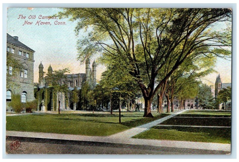 c1905s The Old Campus Exterior New Haven Connecticut CT Unposted Trees Postcard