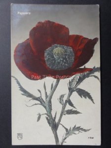 Poppies Postcard: PAPAVERO - Donation to R.B.L.