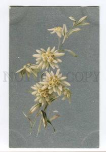 256931 C. KLEIN Alpine Flowers EDELWEISS old RUSSIA Silver PC