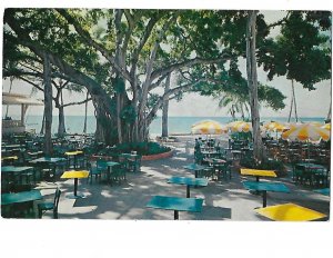 Ala Moana Hotel Banyon Tree Court Honolulu Hawaii c1973