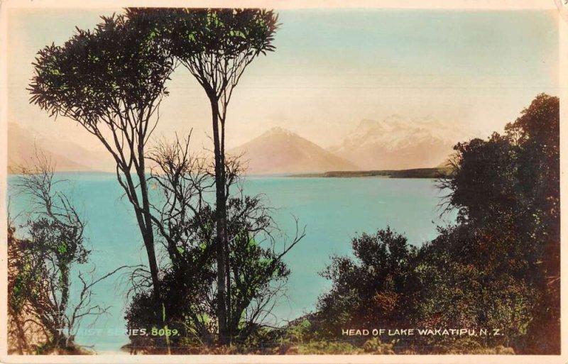 Lake Wakatipu New Zealand Scenic View Tinted Real Photo Vintage Postcard AA55718