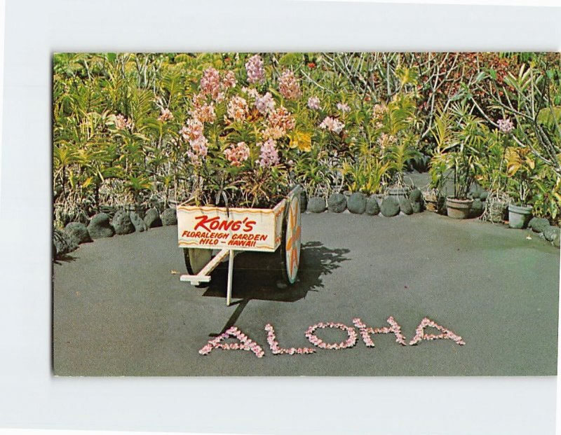 Postcard Kongs Floraleigh Gardens Hilo Hawaii USA