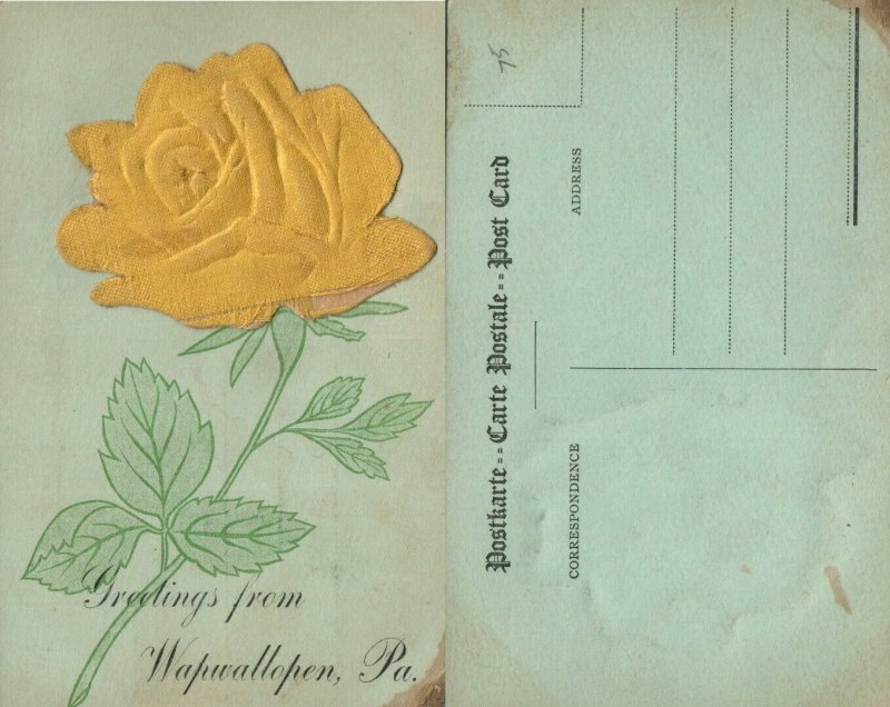 WAPWALLOPEN PA GREETINGS ANTIQUE POSTCARD w/ APPLIED FABRIC FLOWER