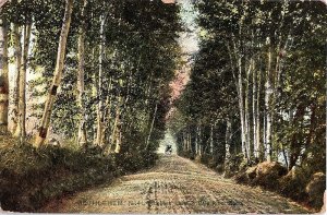 Postcard ROAD SCENE Bethlehem New Hampshire NH AJ3707