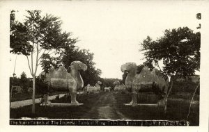 china, NANKING NANJING 南京市, Ming Xiaoling Mausoleum, Stone Camels (1920s) RPPC