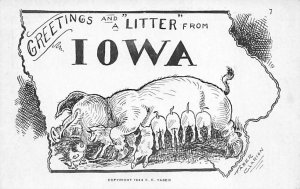 Greetings From Pigs Greetings from, Iowa  