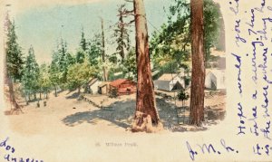Postcard Private Mailing View of Wilson Peak, Telluride, CO.   L3