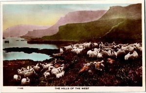 RPPC Scotland Flock of Sheep HIlls of the West Vintage Postcard P16