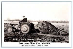 Miles City MT Postcard Hauling Giant Sugar Beets c1930's Vintage RPPC Photo