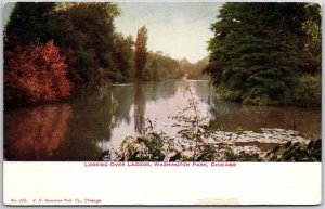 Looking Over Lagoon Washington Park Chicago Illinois IL Postcard