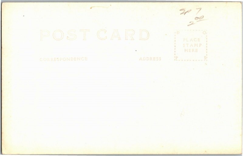 RPPC Hooker Oak Tree Chico CA Real Photo Vintage Postcard T12