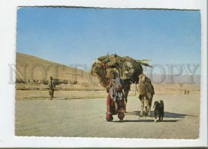 471038 Afghanistan Nomads with a camel Old postcard