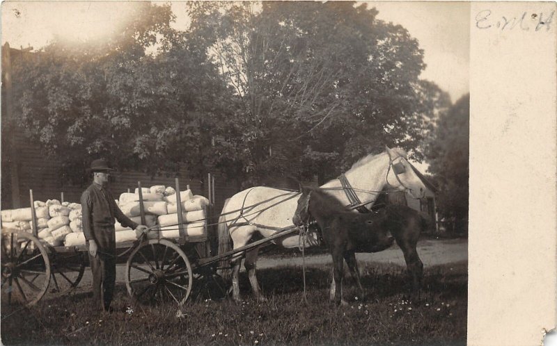 F82/ Occupational RPPC Postcard c1910 Horse Delivery Wagon 8