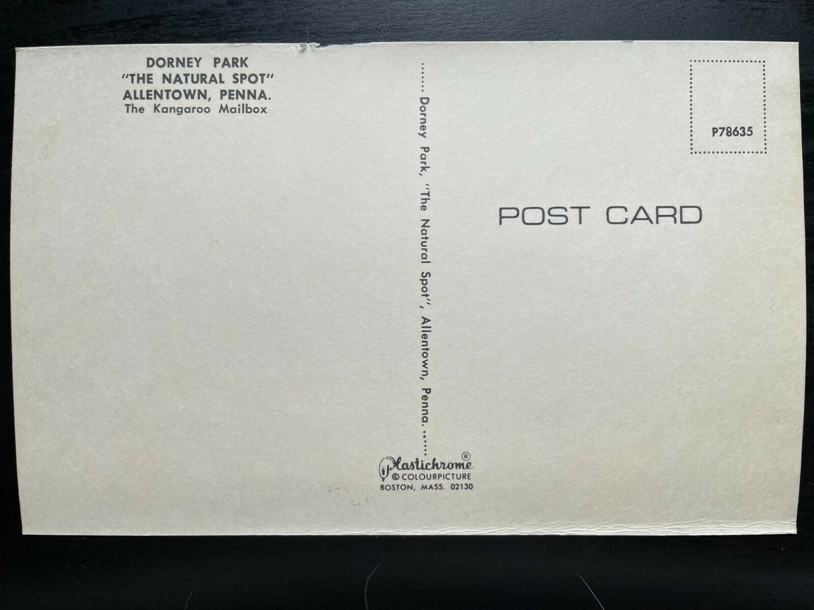 Vintage Postcard 1960 The Kangaroo Mailbox Dorney Park Allentown Pa. United States