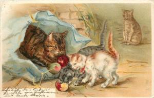 Art Postcard; Cat Sitting in a Paper Bag, Kittens playing with Fruit posted 1903