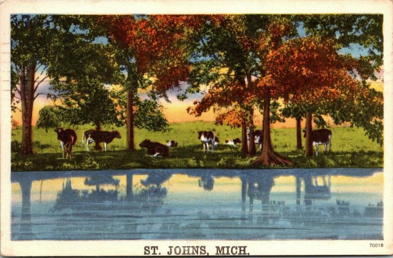 St Johns Michigan~Cattle Graze~Cows Rest Under Trees~Reflect in Pond~1957 Linen 