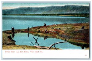 c1910 Scene of People at Totes Meer Dead Sea Jordan Unposted Antique Postcard