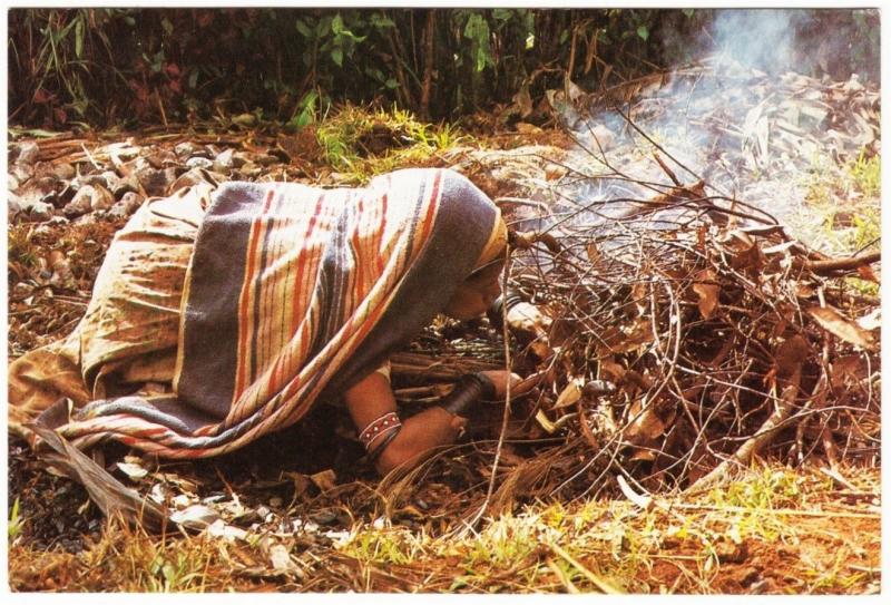 Papua New Guinea Highlands Woman Preparing a Cooking Fire Postcard