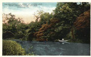 Vintage Postcard 1920's Quittapahilla Creek Lover's Leap Annville Pennsylvania