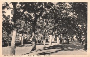 Lafayette, Constantine Allee Des France Extremite Park Museum Vintage Postcard