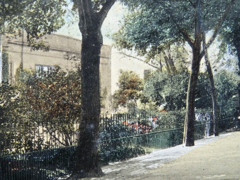 Leicester THE NEW WALK c1907 Postcard