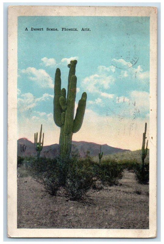 1915 Desert Scene Cactus Sand Mountain Phoenix Arizona Vintage Antique Postcard