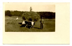 Haying circa 1905-1909   *RPPC