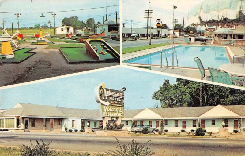 Cave City Kentucky Ambassador Motel Mini Golf Vintage Postcard AA33111