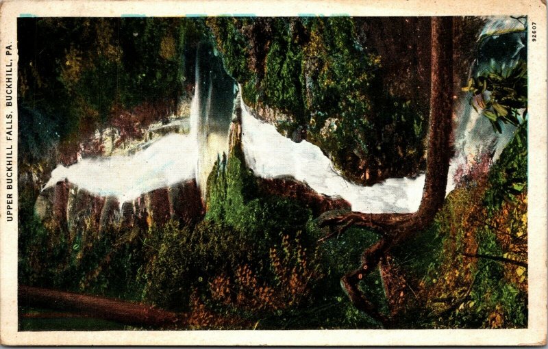 Pennsylvania PA Buckhill Upper Falls Postcard Old Vintage Card POSTED POSTCARD