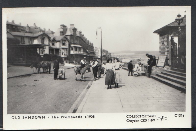 Isle of Wight Postcard - Old Sandown - The Promenade c1908  -  RS8497