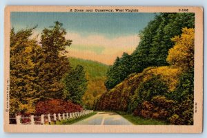 Gassaway West Virginia WV Postcard Scene Road Trees Mountain Street 1940 Vintage