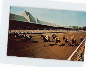 Postcard A Field of Thoroughbreds Saratoga Race Track New York USA