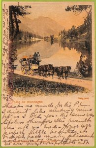 ad5582 - SWITZERLAND - Postcards VINTAGE POSTCARD - 1900-