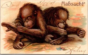 Monkeys Habsucht