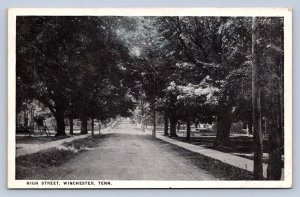 K10/ Wnchester Tennessee Postcard c1920s High Street Homes  295