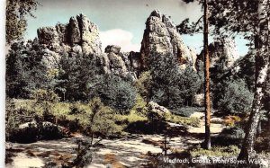 L310 Germany Viechtach Grosser Pfahl Bayerische Wald RPPC vintage postcard