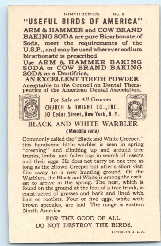 c1930s Black White Warbler Bird Baking Soda Trade Card 9th #6 Church Dwight C10