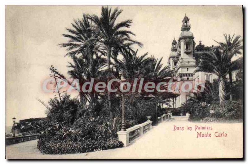 Old Postcard Monte Carlo In Palm