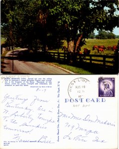 Horse Breeding Farm, Lexington, Kentucky (26261