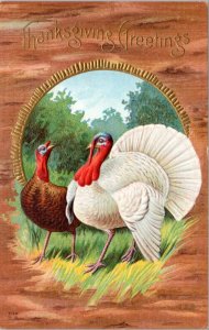Postcard Thanksgiving Greetings - Brown and White turkeys embossed