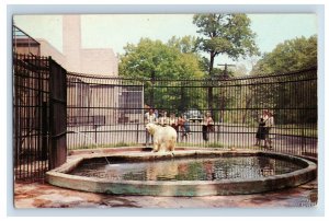 Vintage Seneca Park, Rochester, N.Y. Postcard P60E