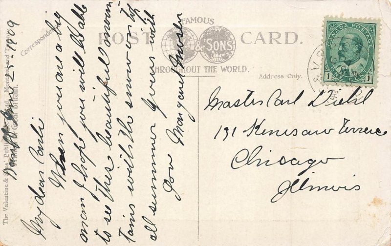 Vintage Postcard Down Bow River Showing Mount Rundle Banff Alberta