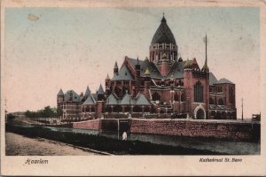 Netherlands Haarlem Kathedraal Sint Bavo Vintage Postcard C173