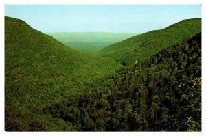 Postcard MOUNTAIN SCENE Haines Falls New York NY AQ0119