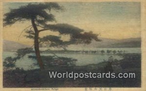 Amanchashidate wooden Tango Japan Unused 