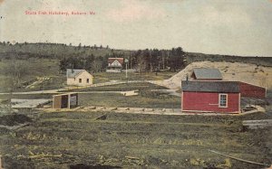 STATE FISH HATCHERY AUBURN MAINE POSTCARD 1910